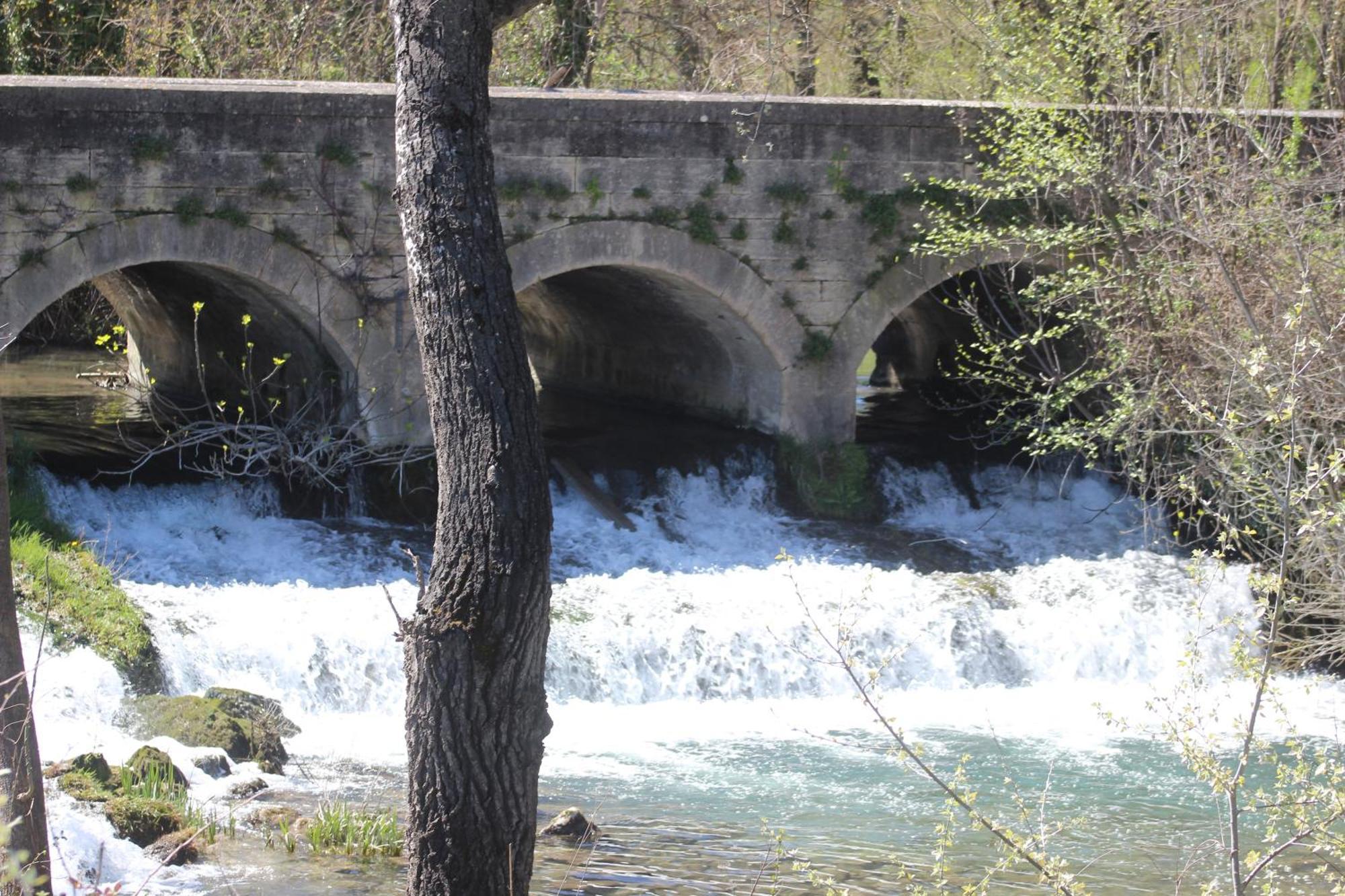 PROVENCE VAUCLUSE VELLERON Superbe maison avec piscine tout confort מראה חיצוני תמונה